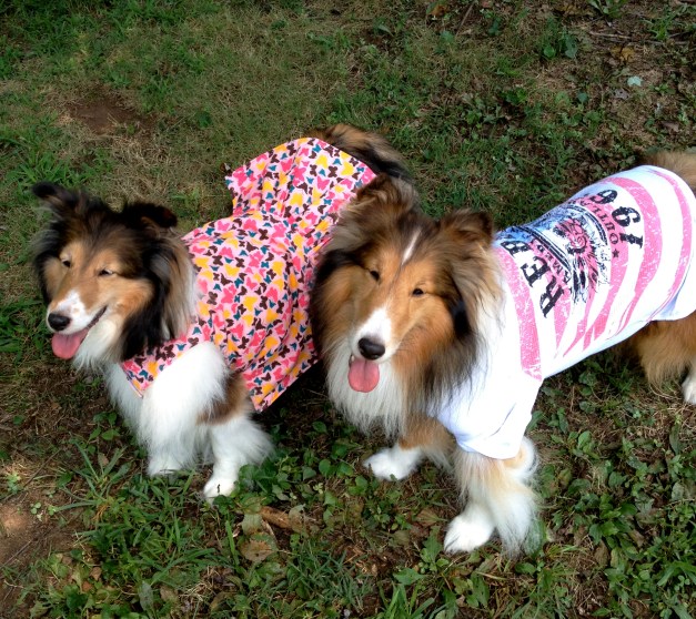 sundress Jada IMG_3701