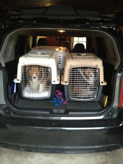 "Why can't she just take the bus? We hate the NY Thruway."