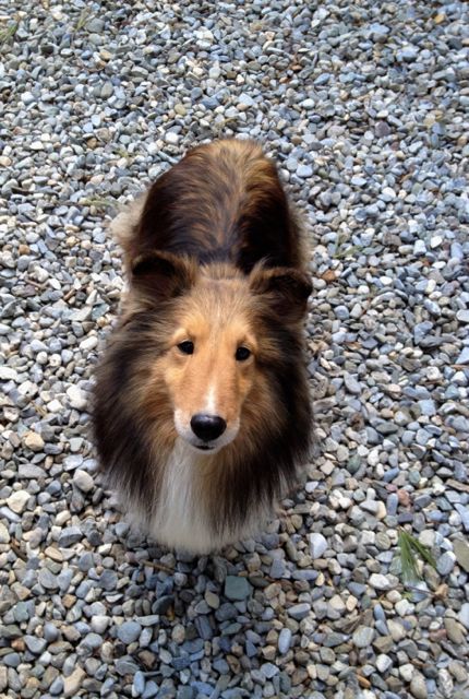 "I am quite happy where I am. Nice seeing you again. Go away now."