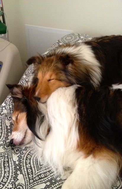 "Aunt Jada is softer than gravel."